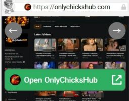 OnlyChicksHub