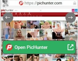 PicHunter
