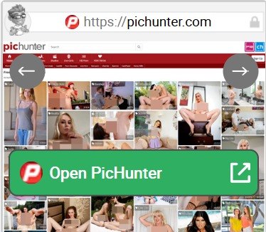 PicHunter