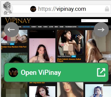 ViPinay