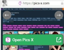 Pics X