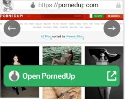 PornedUp