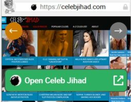 Celeb Jihad