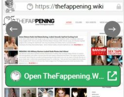TheFappening.wiki