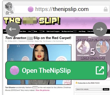 TheNipSlip
