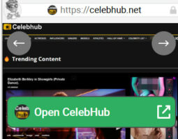 CelebHub