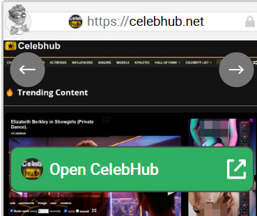 CelebHub