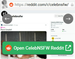 CelebNSFW Reddit