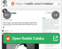 Reddit Celebs