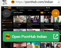 PornHub Indian