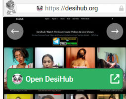 DesiHub